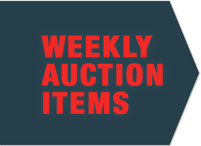 View our weekly auction items!